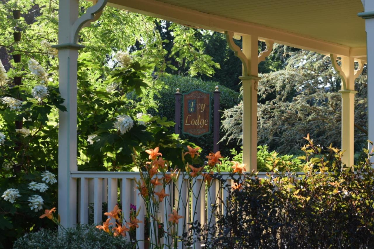 Ivy Lodge Newport Exterior foto
